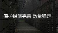 保護(hù)措施完善 數(shù)量穩(wěn)定恢復(fù)