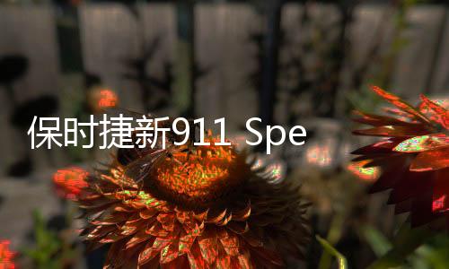 保時捷新911 Speedster 或2019年發布