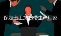 保定土工加筋帶生產(chǎn)廠家