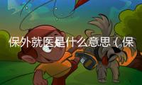 保外就醫(yī)是什么意思（保外就醫(yī)）