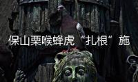 保山栗喉蜂虎“扎根”施甸