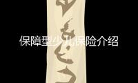 保障型少兒保險介紹