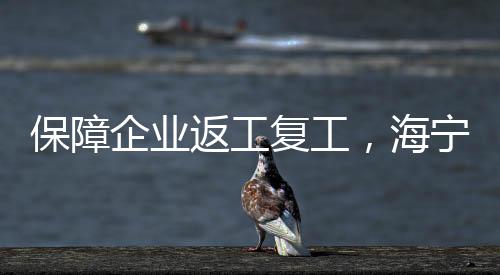 保障企業(yè)返工復(fù)工，海寧公安在行動