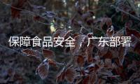 保障食品安全，廣東部署專項行動