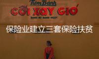 保險(xiǎn)業(yè)建立三套保險(xiǎn)扶貧體系