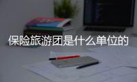 保險旅游團是什么單位的人