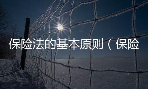 保險法的基本原則（保險法論文）