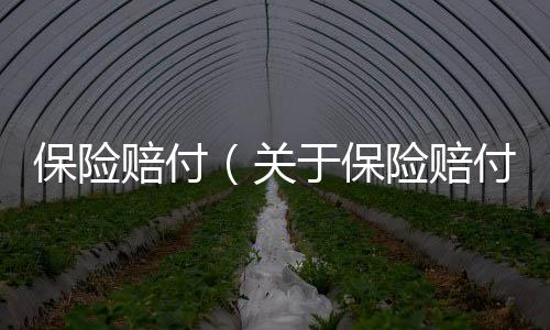 保險賠付（關于保險賠付的基本情況說明介紹）