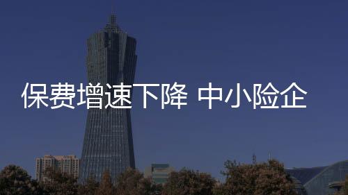 保費增速下降 中小險企或拋售債券應對需求