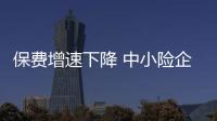 保費增速下降 中小險企或拋售債券應對需求