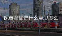 保費金額是什么意思怎么算出來的