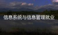 信息系統與信息管理就業方向（信息管理與信息系統專業就業方向）
