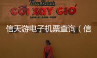信天游電子機票查詢（信天游機票電子行程單）