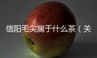 信陽毛尖屬于什么茶（關(guān)于信陽毛尖屬于什么茶的基本情況說明介紹）