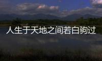 人生于天地之間若白駒過(guò)隙忽然而已的意思