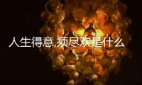 人生得意,須盡歡是什么意思（人生在得意盡歡的意思）