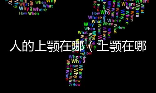 人的上顎在哪（上顎在哪）