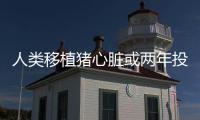 人類移植豬心臟或兩年投入應用 異種移植邁向新時代！！