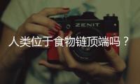 人類位于食物鏈頂端嗎？美媒：看你吃什么