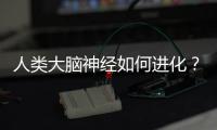 人類大腦神經如何進化？寄生蟲充當了隱形設計師