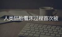人類胚胎著床過程首次被解析