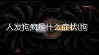 人發(fā)狗瘋是什么癥狀(狗扯瘋是什么癥狀)