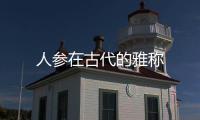 人參在古代的雅稱