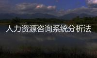 人力資源咨詢系統分析法