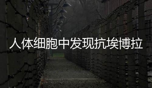 人體細胞中發現抗埃博拉病毒蛋白 有助研制相關小分子藥物