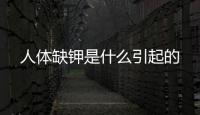 人體缺鉀是什么引起的