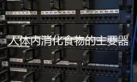 人體內消化食物的主要器官是  人體內什么器官是主要來消化食物