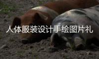 人體服裝設(shè)計手繪圖片禮服（人體服裝設(shè)計款式圖）