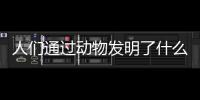 人們通過(guò)動(dòng)物發(fā)明了什么產(chǎn)品（人們通過(guò)動(dòng)物發(fā)明了什么）