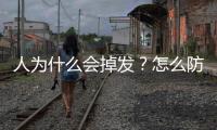 人為什么會掉發？怎么防止掉發？