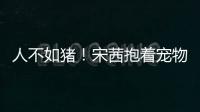 人不如豬！宋茜抱著寵物豬合影粉絲化身檸檬精