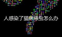 人感染了貓咪絳蟲怎么辦(人跟貓咪睡一起會感染絳蟲嗎)