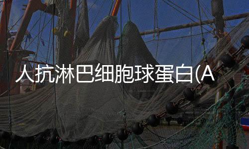 人抗淋巴細(xì)胞球蛋白(ALG)elisa Kit試劑盒