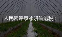 人民網評袁冰妍偷逃稅：洗白是無效的，無視法律將自食惡果