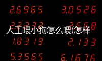 人工喂小狗怎么喂(怎樣人工喂小狗喝奶)