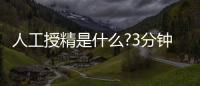 人工授精是什么?3分鐘讀完這篇文章，解答你所有疑問