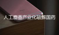 人工麝香產業化破解國藥瀕危困境 可少獵殺900萬頭雄麝
