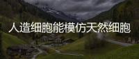 人造細胞能模仿天然細胞感知環(huán)境