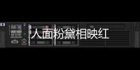 人面粉黛相映紅