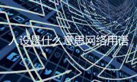 人設(shè)是什么意思網(wǎng)絡(luò)用語（網(wǎng)絡(luò)人設(shè)是什么意思）