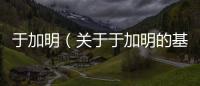 于加明（關于于加明的基本情況說明介紹）