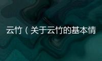 云竹（關(guān)于云竹的基本情況說明介紹）