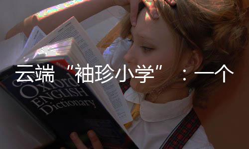 云端“袖珍小學”：一個老師三個娃 是保姆也是
