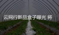 云網行新品盒子曝光 將舍安卓首次搭載windows 10系統