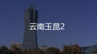 云南玉昆2