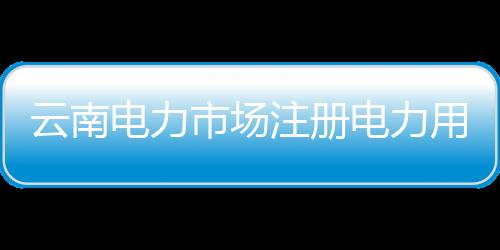 云南電力市場注冊電力用戶數(shù)突破20萬